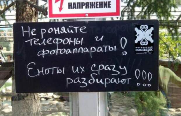 Очень креативные объявления