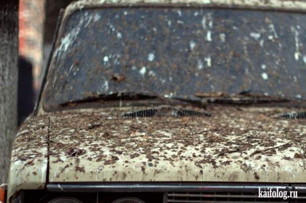 Фото приколы по-русски. Подборка - 279 (80 фото)