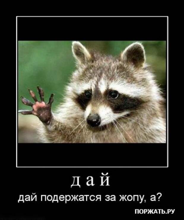 Демотиваторы, новенькое