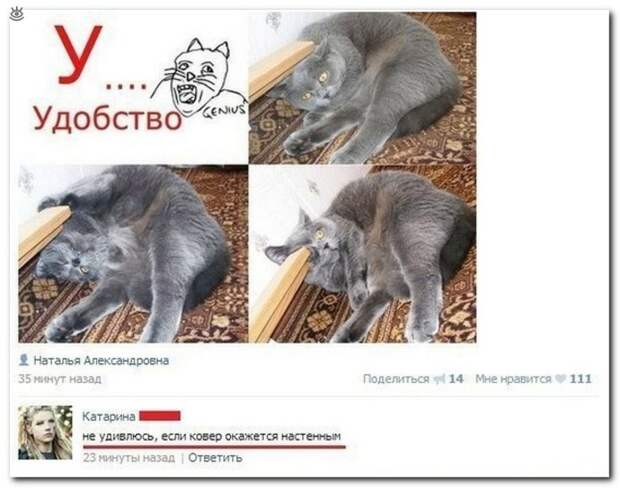 Весёлые надписи из соцсетей 15