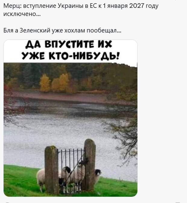 Зеля, рыдай! Немецкий канцлер предложил радикальное решение «украинского вопроса»