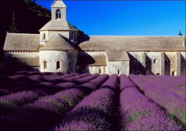 Лавандовые поля под голубым небом Франции. Лавандовые поля под голубым небом Франции.