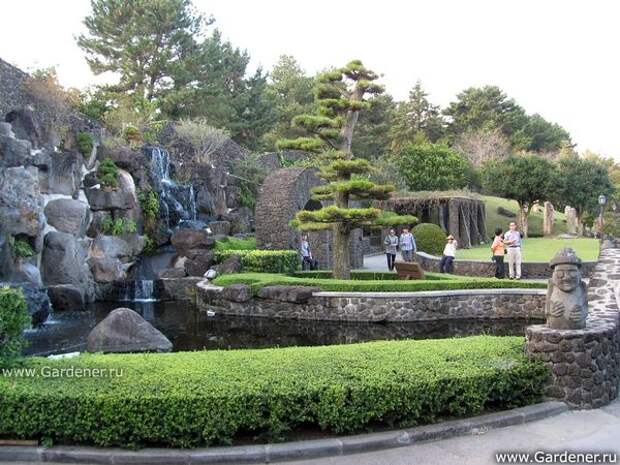 Парк Бонсай Энергичный Сад в Южной Корее