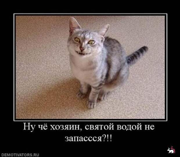 Демотиваторы и мотиваторы. Демки вторник Демотиваторы и мотиваторы. Демки вторник