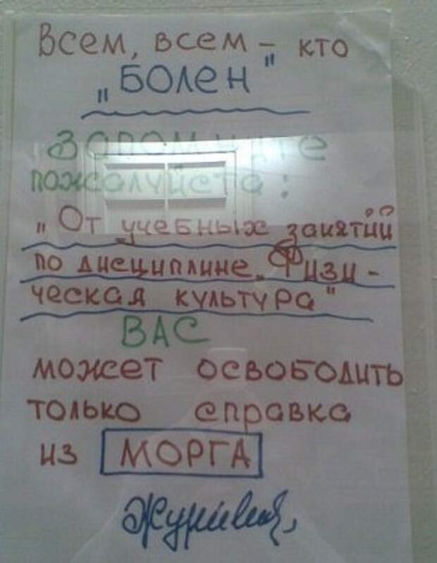 Урок физкультуры в СССР и сейчас. Как убивали предмет спорт, ссср, физкультура, школа