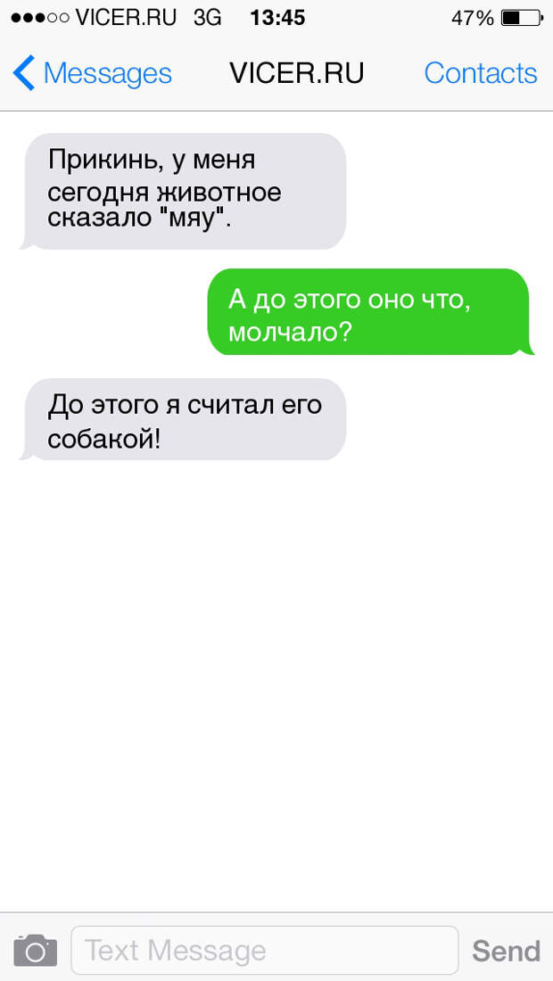 смс о домашних животных 