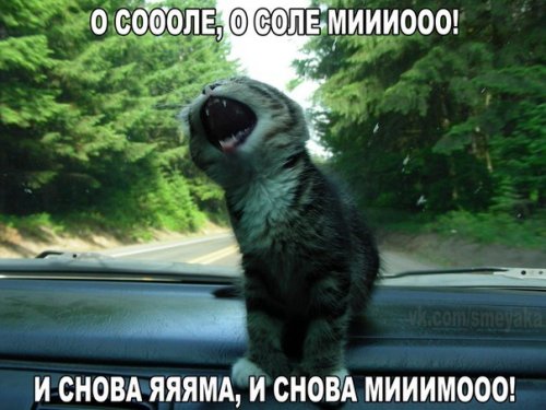 Автоприколы на Бугаге (27 шт)