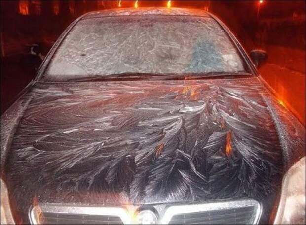 Дорожные фотоприколы!