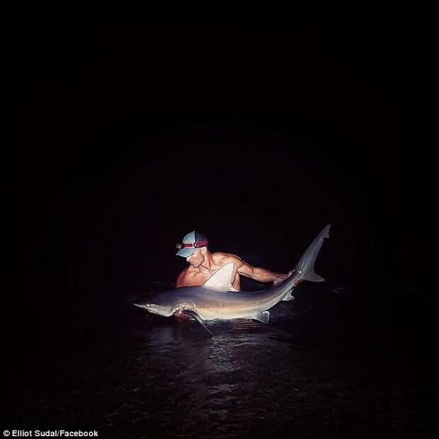 Он публикует фото с морскими обитателями в соцсетях, чтобы повысить осведомленность местных жителей об акулах. Но чаще всего его подписчиц интересуют не акулы, а непосредственно их "ловец". акула, акула молот, вирусные фото, рыбак, рыбалка, рыбы, спортсмен, фото