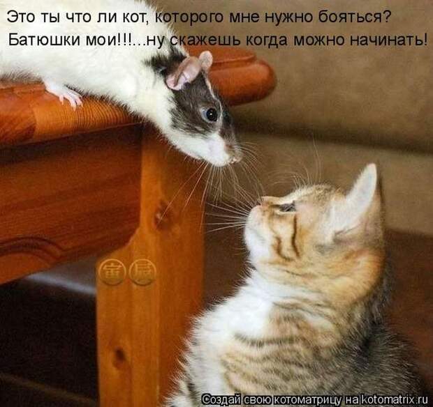 Мысли вслух :)