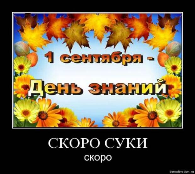 Демотиваторы- поулыбаться)