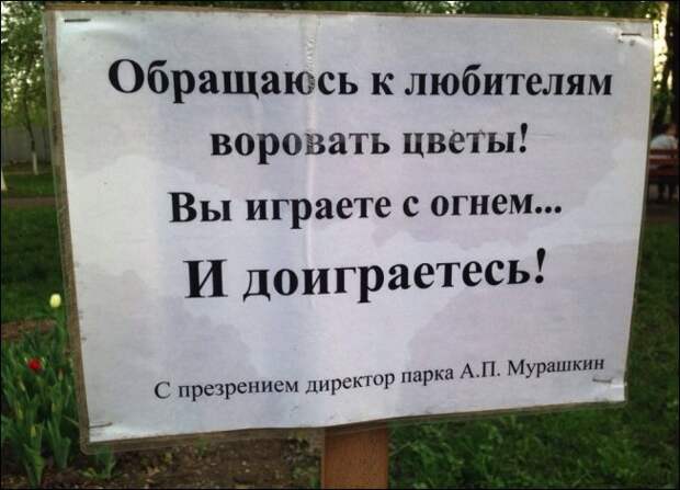 Прикольные надписи и объявления надписи, объявления, юмор