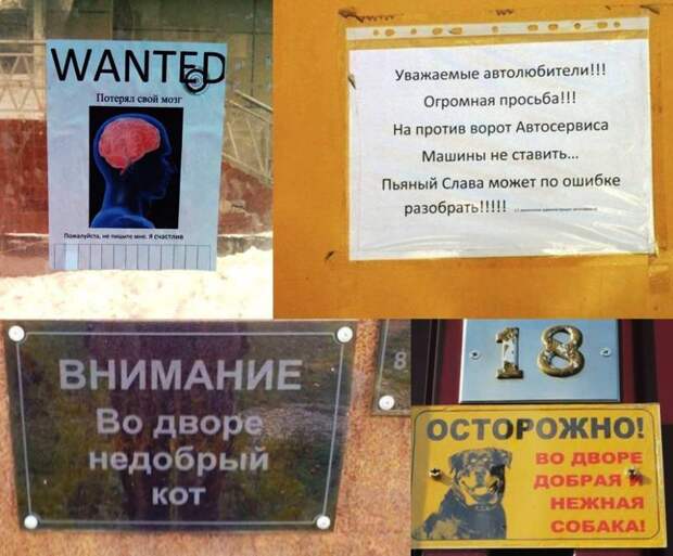 25 гениальных объявлений 2014 года объявления, смешно