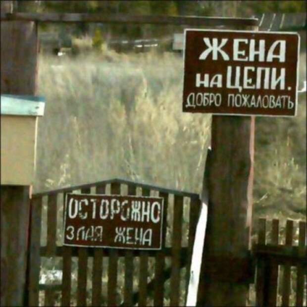 Прикольные картинки выходного дня (51 шт)