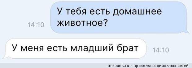 У тебя есть домашнее животное?