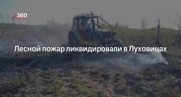Лесной пожар ликвидировали в Луховицах