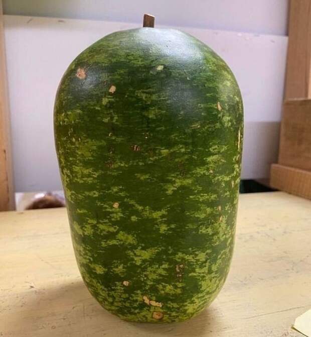 Разные любопытные и редкие находки из мира природы