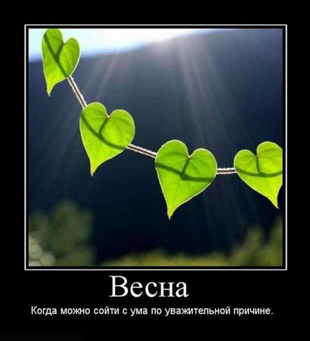 Давайте улыбаться вместе :)