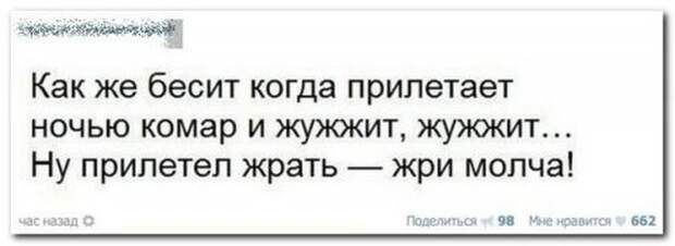 Смешные комментарии из социальных сетей картинки, прикол, соц сети, юмор