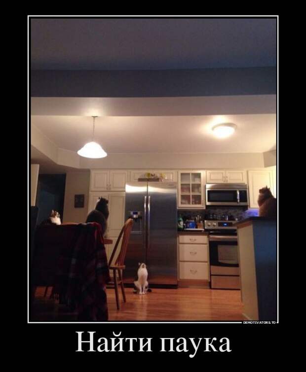 Демотиваторы демотиваторы, юмор