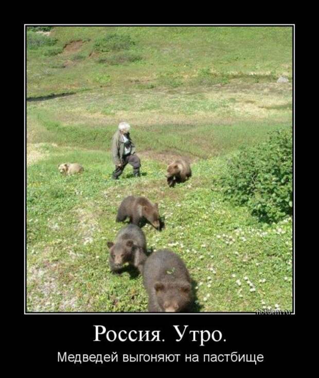 Новая порция демотиваторов (17 шт)