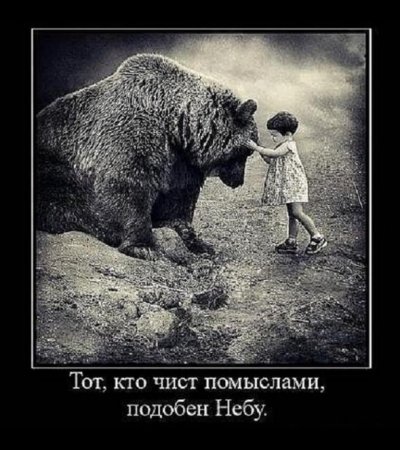 Демотиваторы со смыслом картинки.