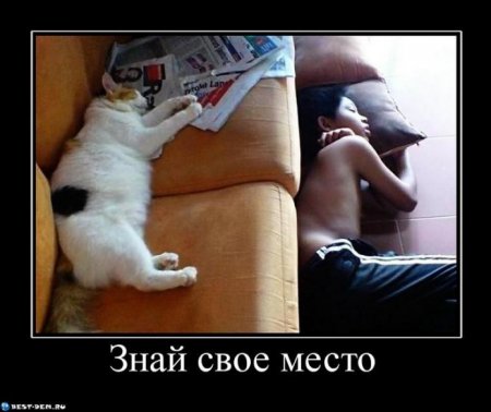 Демотиваторов у нас столько, что всех и не пересмотришь.