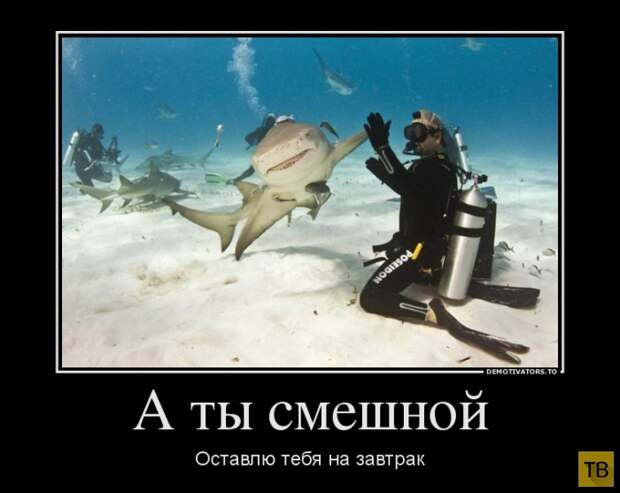 Подборка демотиваторов 12. 09. 2014 (33 фото)