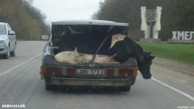 А давайте перевезем все за один раз ! А давайте перевезем все за один раз ! груз, перевозка, юмор