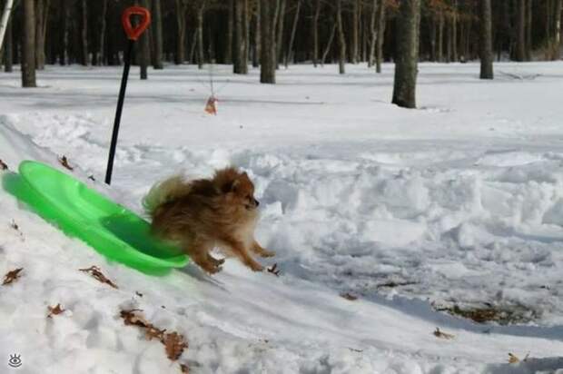 Забавные и позитивные фотки 28