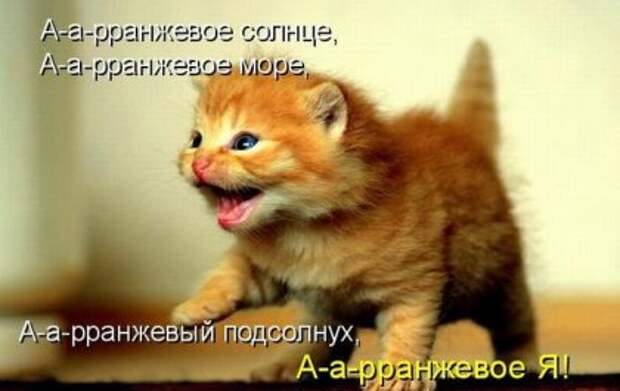 Котоматрицы: Мысли вслух