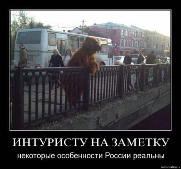 Демотиваторы приколя дня.