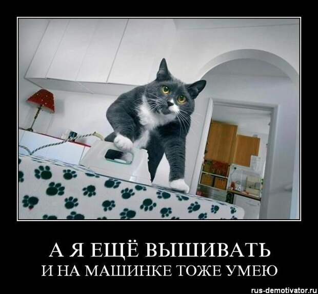 Любителям пушистых и нахальным Любителям пушистых и нахальным демотиваторы, коты, прикол, юмор