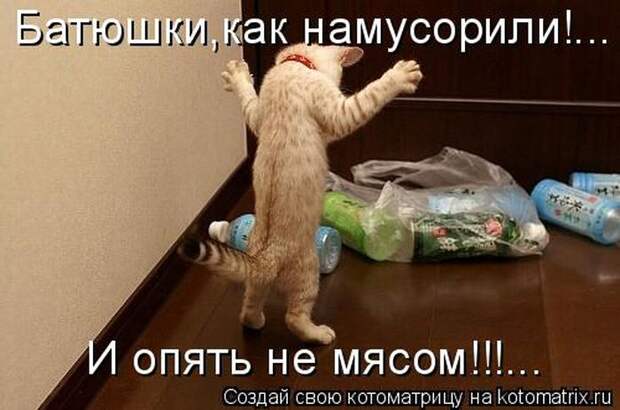 Мысли вслух :)