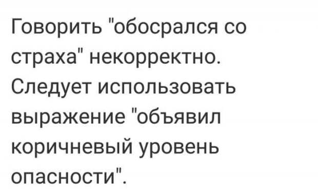 Волна позитива в остроумных комментариях из социальных сетей Волна позитива в остроумных комментариях из социальных сетей