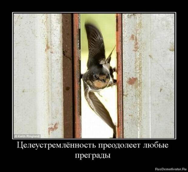 демотиваторы со смыслом обо всем.