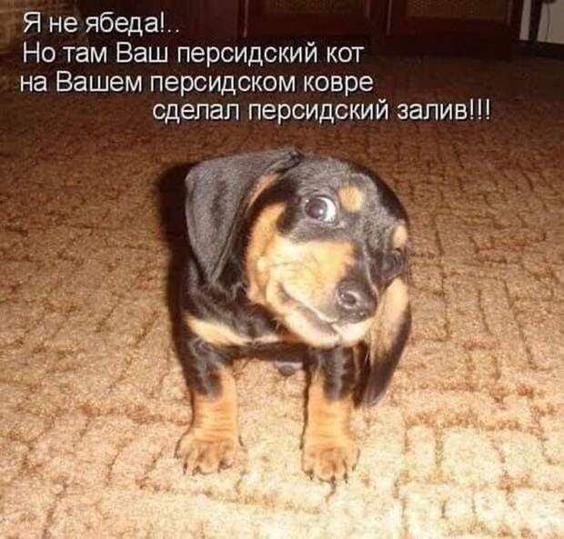 Я не ябеда) Я не ябеда)