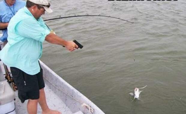 Приколы Приколы