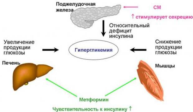 Препараты для лечения ожирения: что нужно знать о безопасности и эффективности