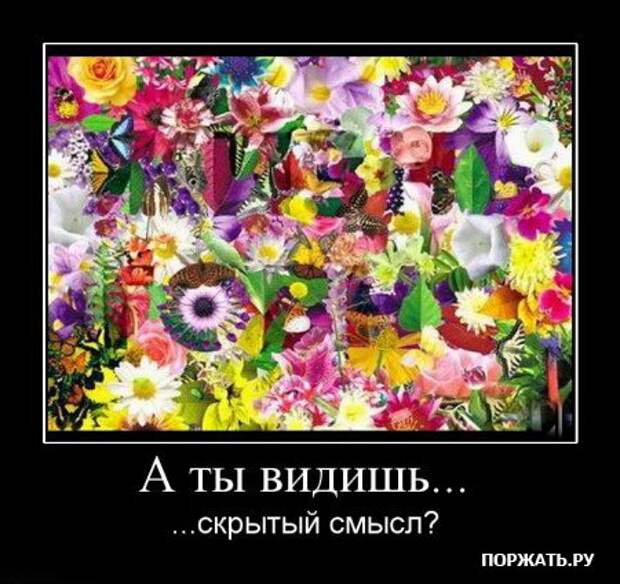 Прикольные демотиваторы (часть 1)