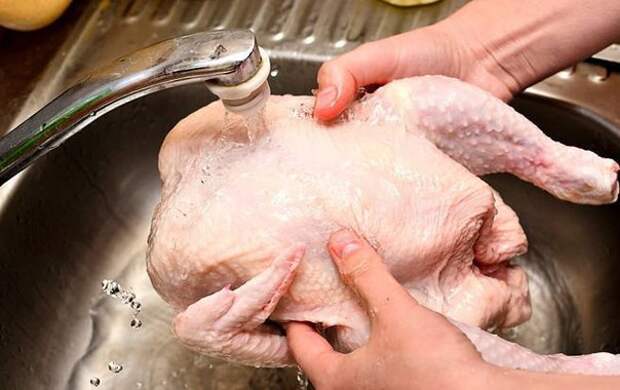 Мыть кур опасно для здоровья