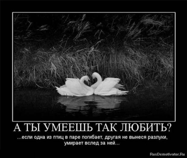 Демотиваторы про любовь и разлуку.