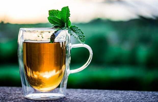 Похудение: пригодится зеленый чай.