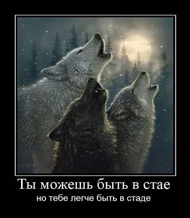 18 демотиваторов дня от 3 августа