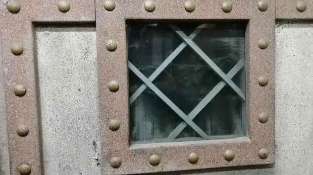 Южноуральца, "спасавшего собаку от голодной смерти", отправили в колонию