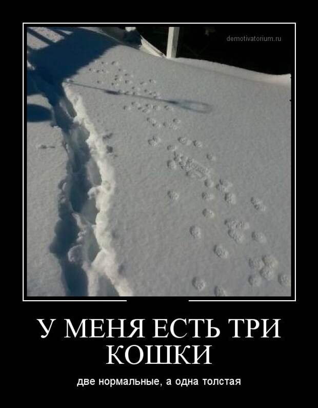 Демотиваторы демотиваторы, картинки, приколы