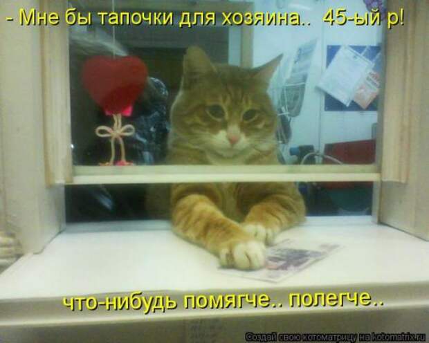 Котоматрицы (картинки с надписями)
