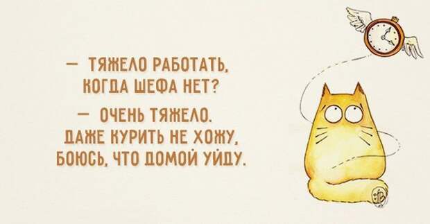 18 освежающих открыток открытки, юмор