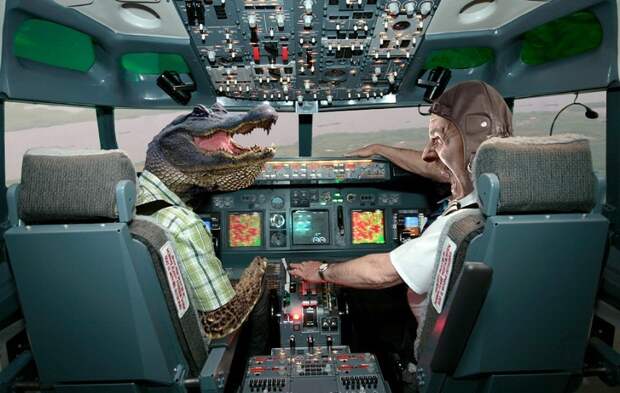 Крокодил стал причиной авиакатастрофы в Конго