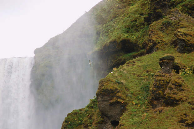 4190615643 8712177564 b Скогафосc   самый знаменитый водопад Исландии